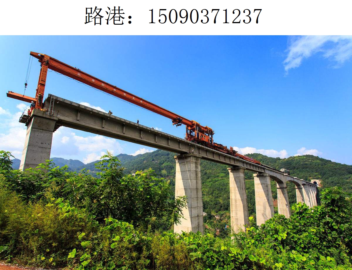 1237路港架橋機211